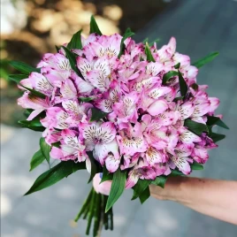 Букет из альстромерий